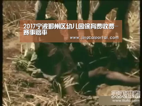 赛事赔率