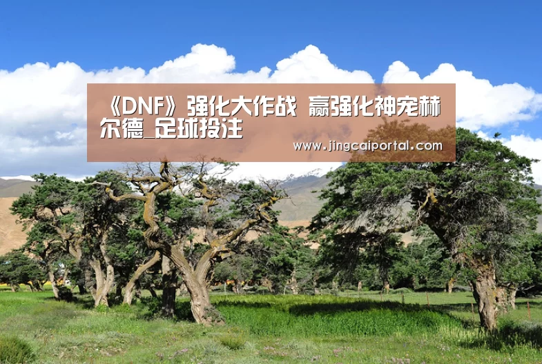《DNF》强化大作战 赢强化神宠赫尔德_足球投注(图1) 竞彩足球