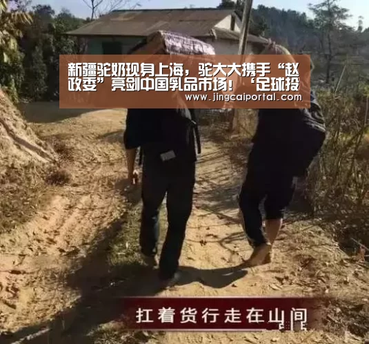 赛事赔率