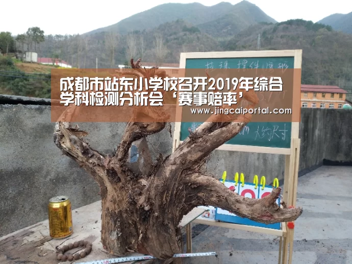 成都市站东小学校召开2019年综合学科检测分析会‘赛事赔率’(图1) 足球投注