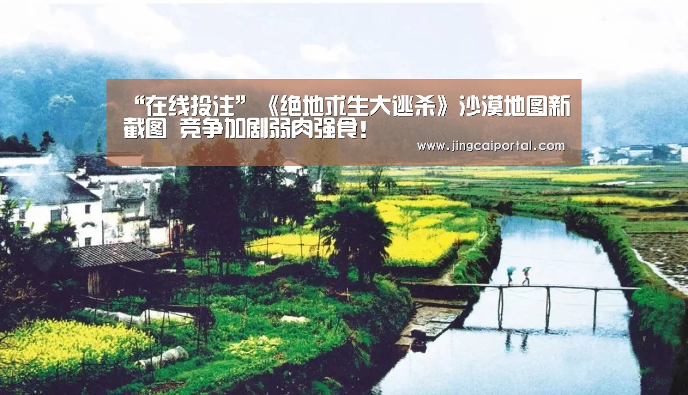 赛事赔率